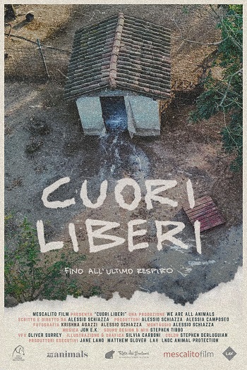 Poster film Cuori Liberi